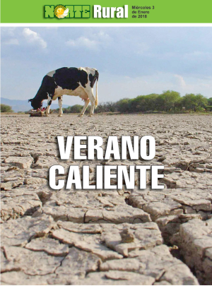 Verano caliente
