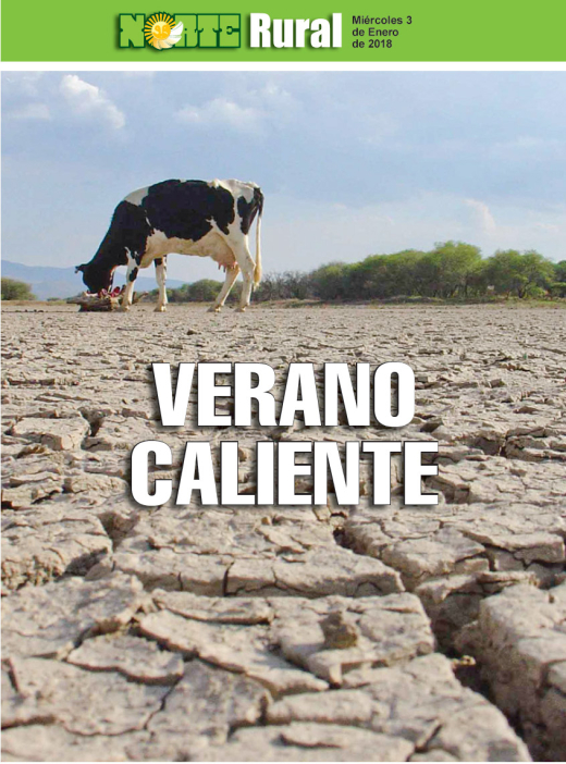 Verano caliente