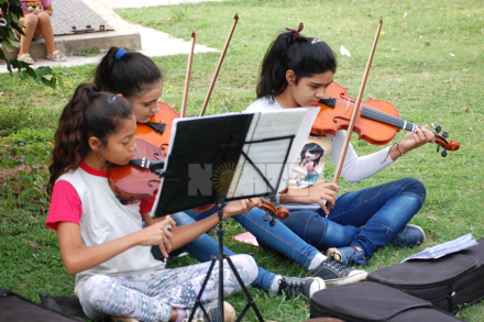 violines2.jpg