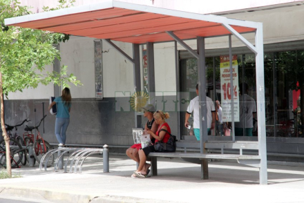 colectivo6.jpg