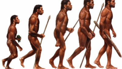 la evolución del ser humano en nuestro planeta
