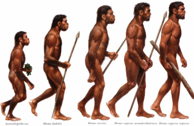 la evolución del ser humano en nuestro planeta