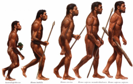 evolu.jpg