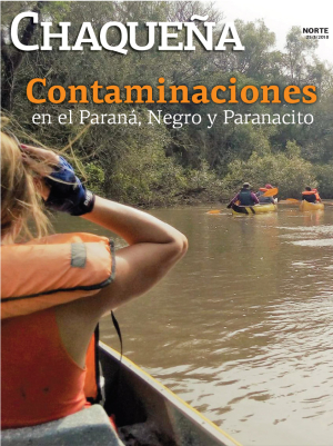 Contaminaciones en el Paraná, Negro y Paranacito