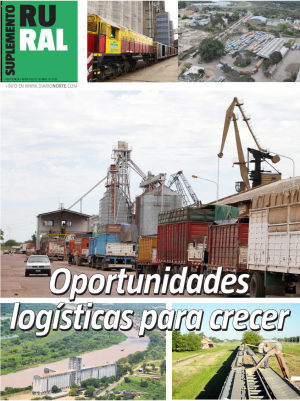 Oportunidades logísticas para crecer