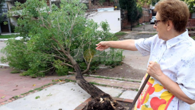Lo que dejó la tormenta en Resistencia