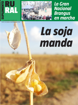 La soja manda