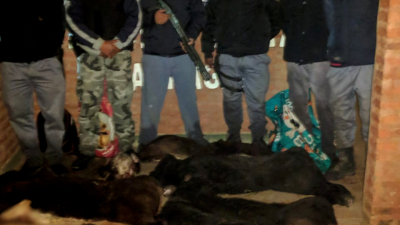 Detienen a supuesto cuatrero con animales faenados