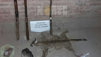 Cazadores fueron detenidos con un puma al que le extrajeron el pelaje