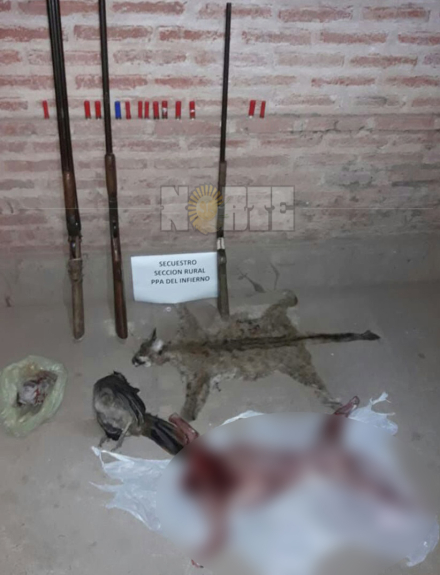 PUMA ASESINADO (2).jpg