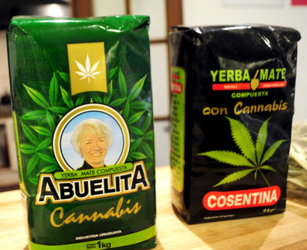 ABUELITA-COSENTINA-YAERBA-C.jpg
