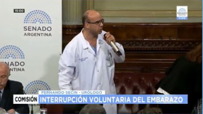 SESIÓN EN VIVO: el Senado recibe a los primeros 18 expositores para debatir la legalización del aborto