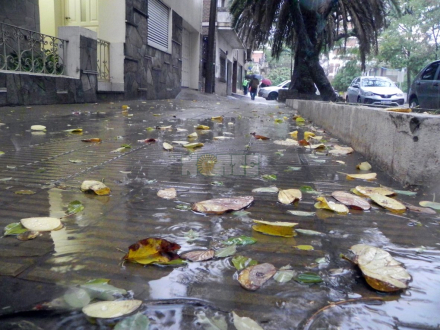 lluvia.JPG