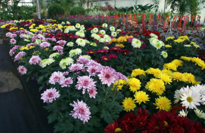 Escuela de Jardinería, del Chaco al mundo