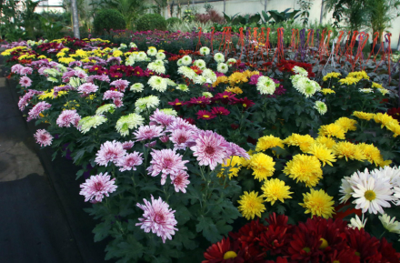 ESCUELA-DE-JARDINERIA7.jpg