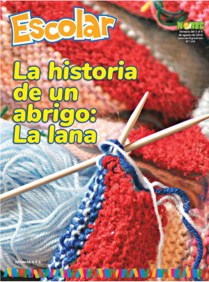 La historia de un abrigo: la lana