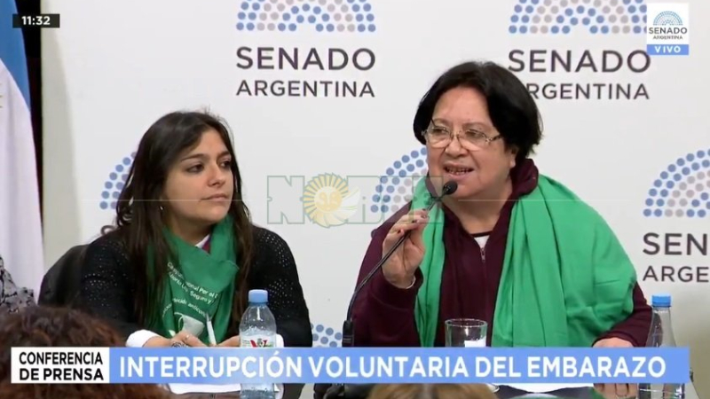La Campaña por el Derecho al Aborto pidió al Senado respetar el proceso y debatir la ley