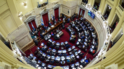 El Senado rechazó el proyecto de ley de Interrupción Voluntaria del Embarazo