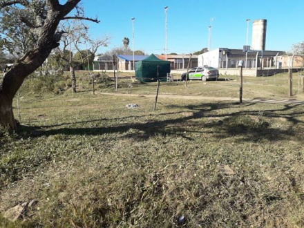 usurpacion Mujeres Argentinas 2.jpg