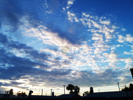 Cielito.jpg
