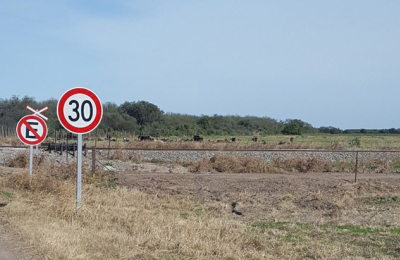 Obras ferroviarias impulsan el Plan Belgrano, de lento avance en el Norte