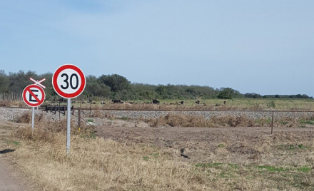 NORTE-SANTAFESINO.jpg