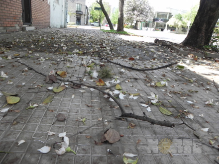 lluvia01.jpg