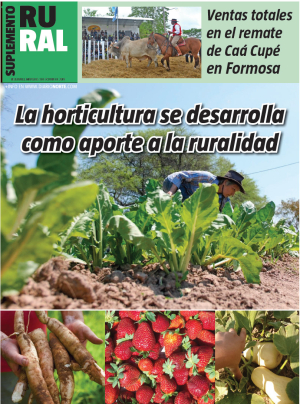 La horticultura se desarrolla como aporte a la ruralidad