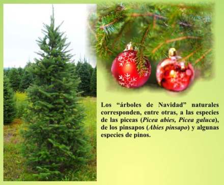 arbol-navideno2.jpg