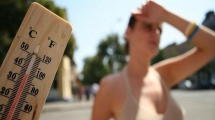 golpedecalor2.jpg