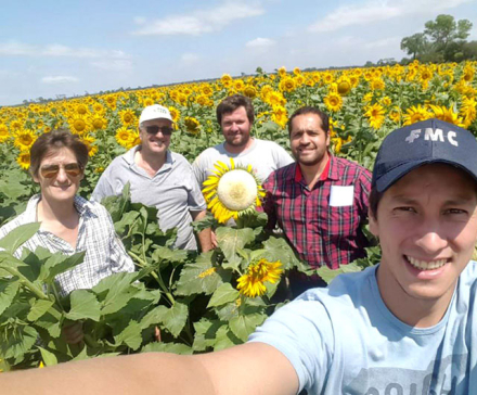 girasol2.jpg
