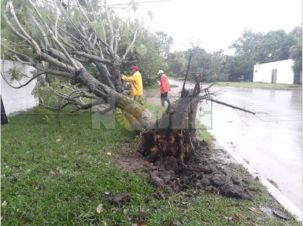 Margarita Belen-lluvia.JPG