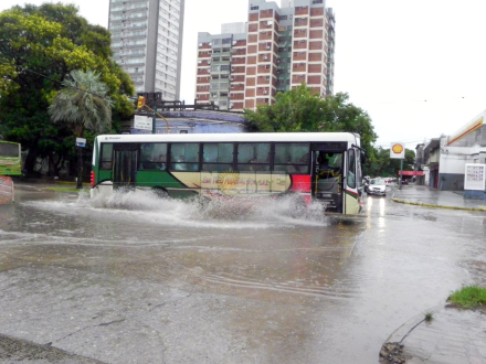 lluvia Rcia.JPG