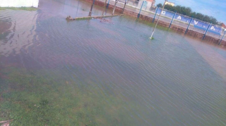 alvear.jpg