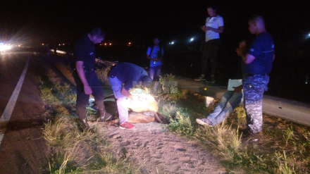 Du Graty accidente.jpg