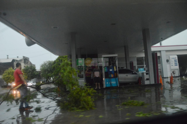 <p>Estación de servicio. </p>