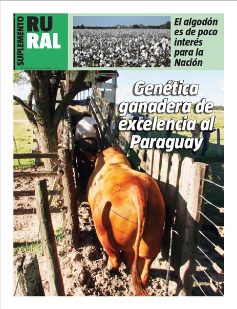 Genética ganadera de excelencia al Paraguay