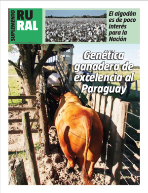 Genética ganadera de excelencia al Paraguay