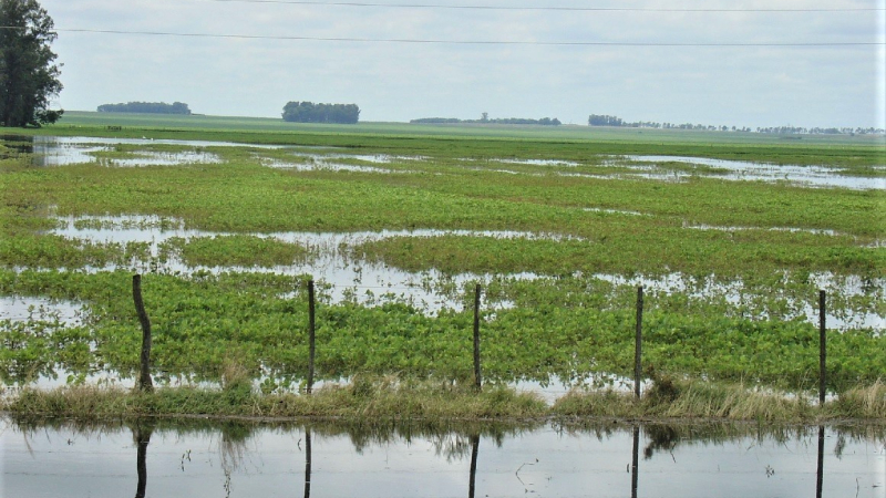 Emergencia Agropecuaria: hasta el 8 de marzo se presentan las declaraciones juradas