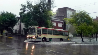 Lenta reactivación del servicio de transporte