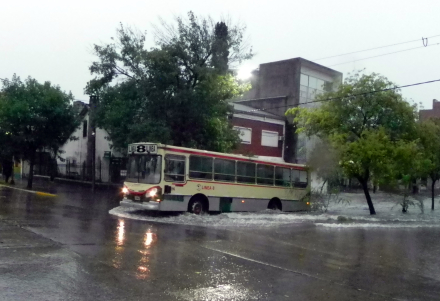 ALBERDI5.JPG