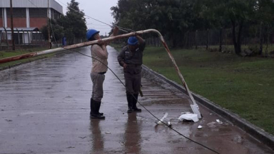 Intensa jornada de trabajo de Secheep tras el temporal