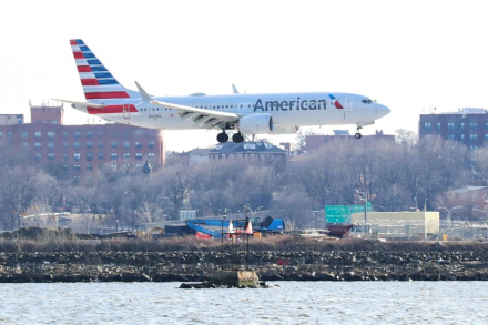 Boeing 737 Max 8.jpg