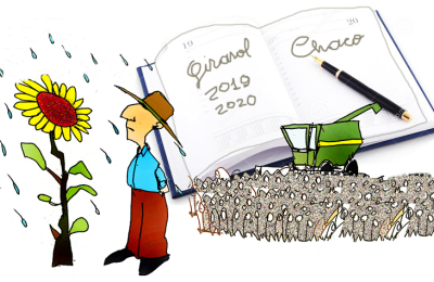 Preparando la agenda del girasol