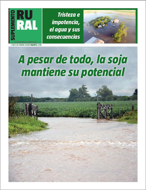A pesar de todo, la soja mantiene su potencial