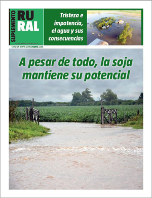 A pesar de todo, la soja mantiene su potencial
