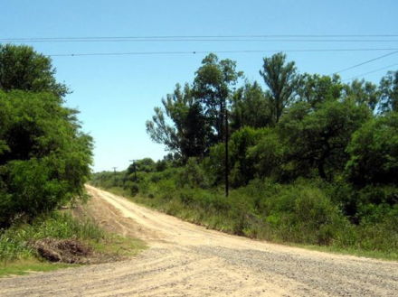 camino_rural_tierra2.jpg