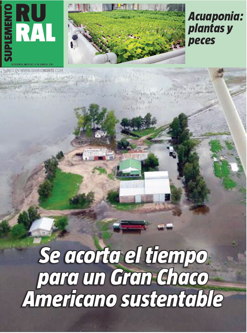 Se acorta el tiempo para un Gran Chaco Americano sustentable