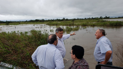 “Está todo muy complicado y tira abajo la gran cosecha que esperábamos pese a todo”