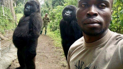 El selfie que se hizo viral de las gorilas del Parque Nacional Virunga